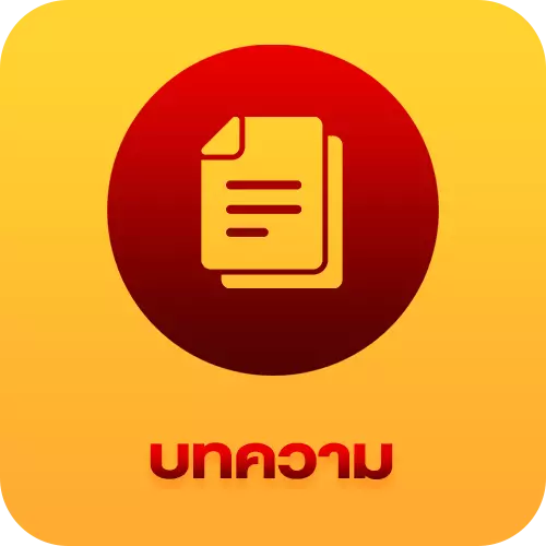 บทความ-zolo99